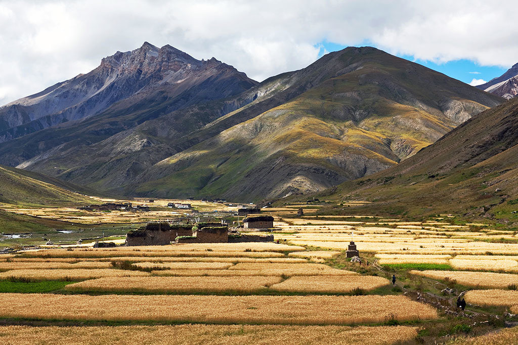 Dho Tarap Village