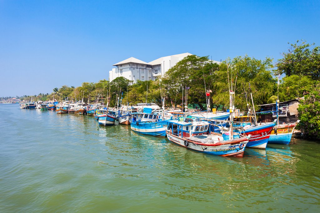 Colorful fishing boats dot the harbor in Negombo