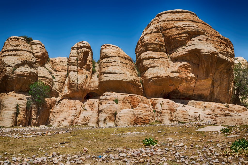 Dana Biosphere Reserve