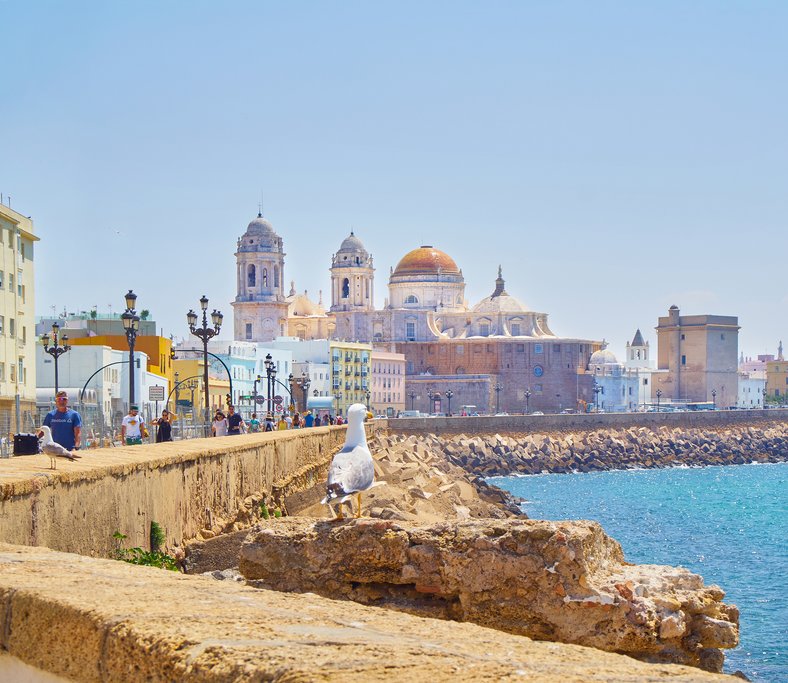 The inviting Paseo Campo del Sur waterfront promenade