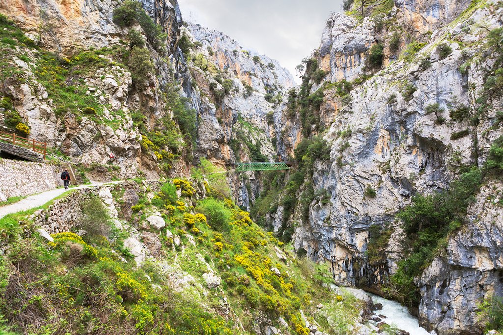 Cares Gorge Trail
