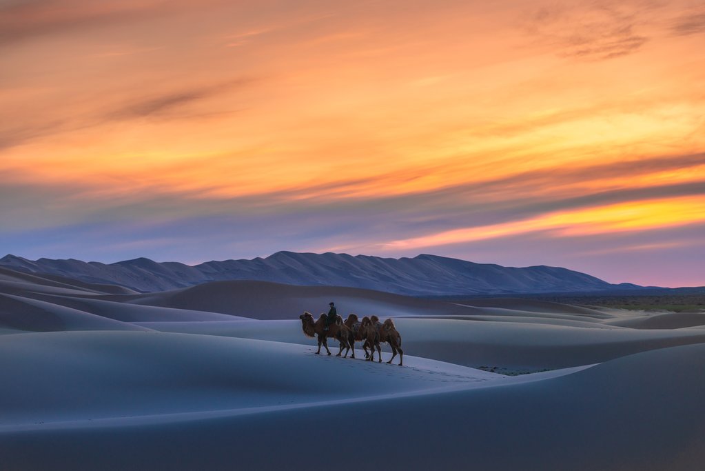 Ride a camel across the Singing Sand Dunes of the Gobi Desert