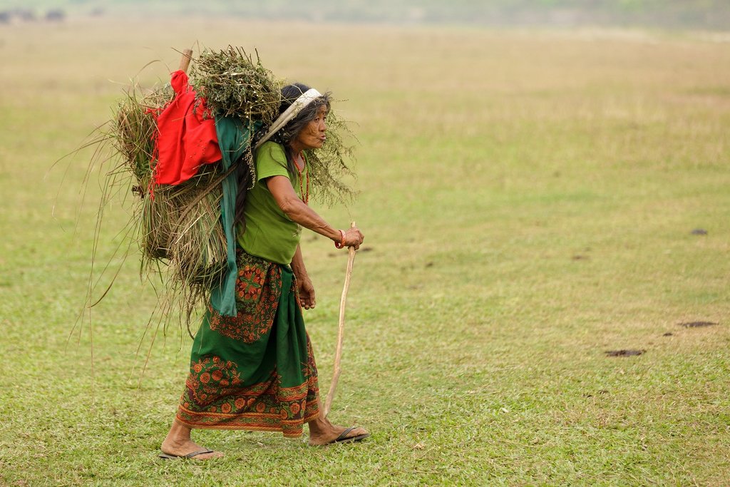 Woman carrying grass in the Terai