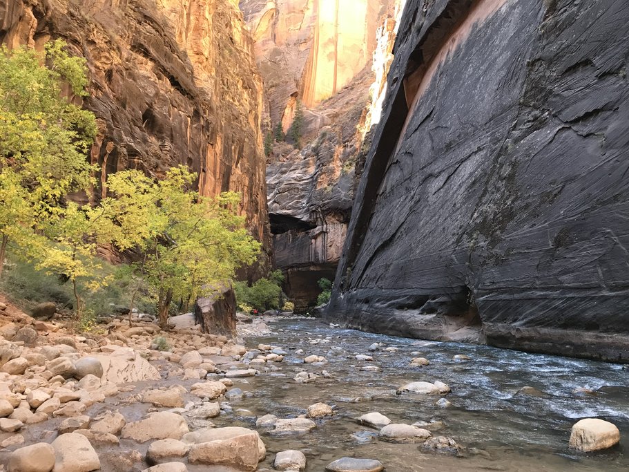 Zion National Park's Riverside walk