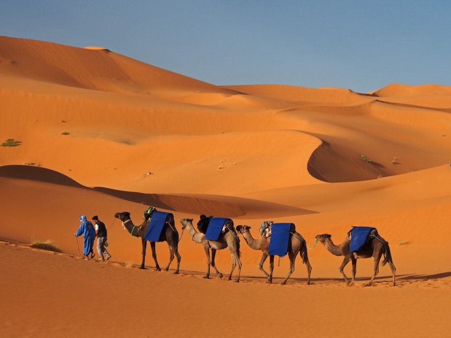 Sahara Desert