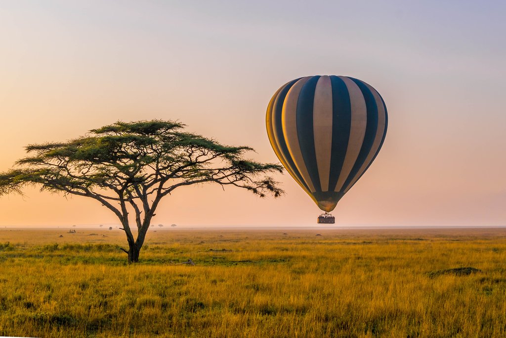 Hot air balloon taking off in the Serengeti