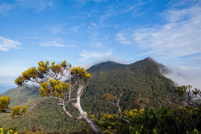 Climb Mount Trusmadi & Explore Sapulot  - 8 Days