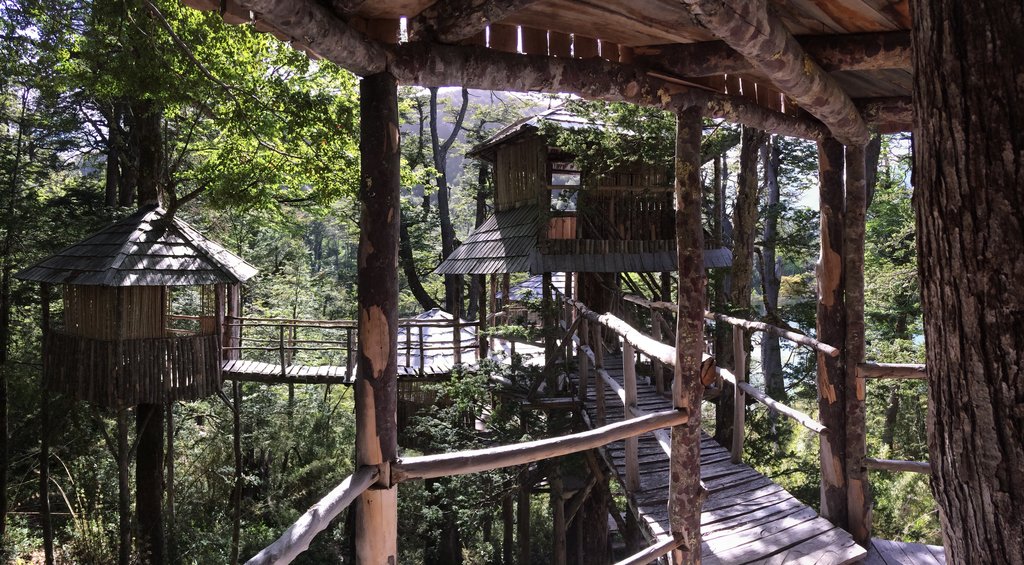 Tree House Camp