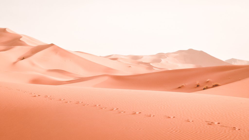 Sand dunes in the desert