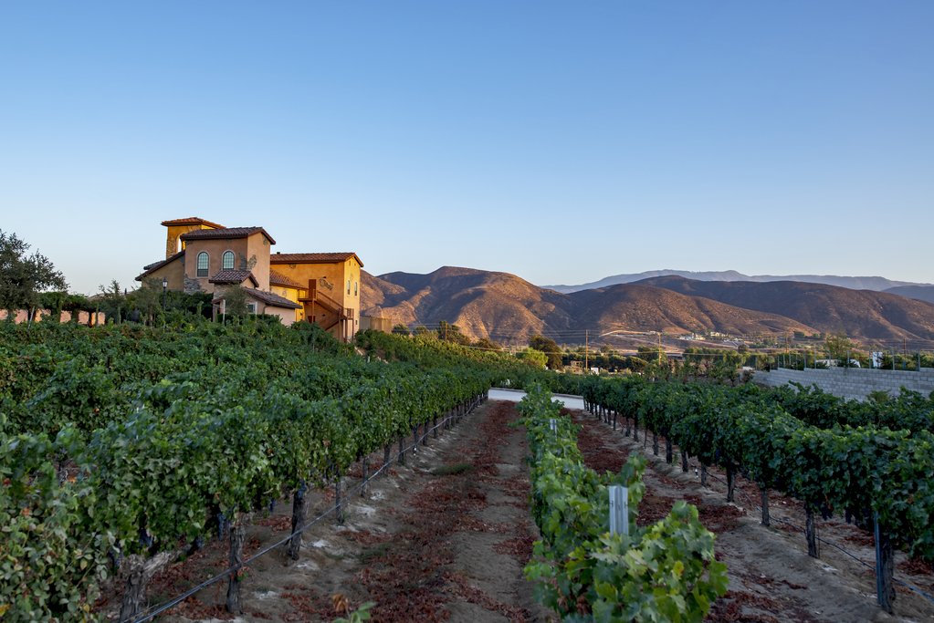 Sunny days in Temecula's wineries