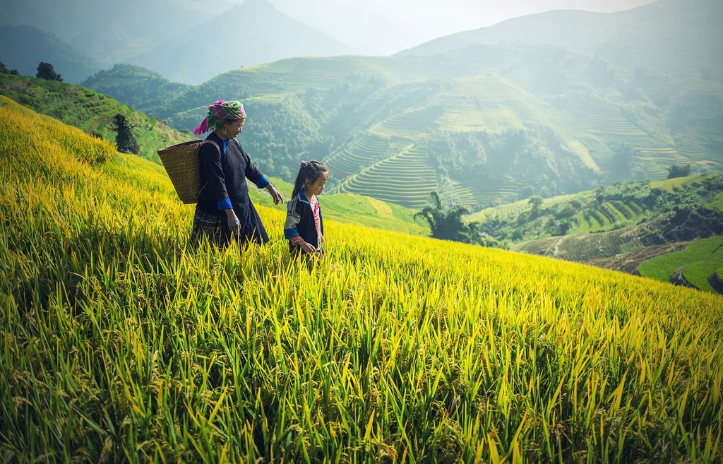 A Black Hmong woman and her daughter tend to the fields