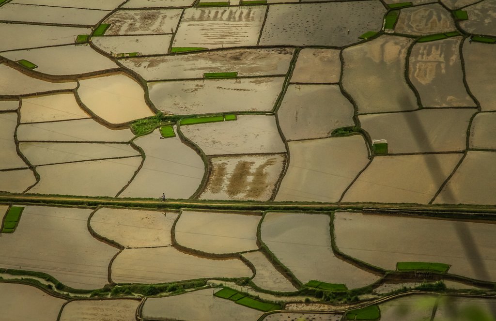 Mai Châu affords picture-perfect views of the Vietnamese countryside