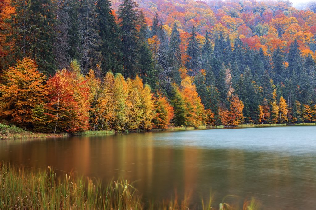 Saint Ana Lake in Autumn