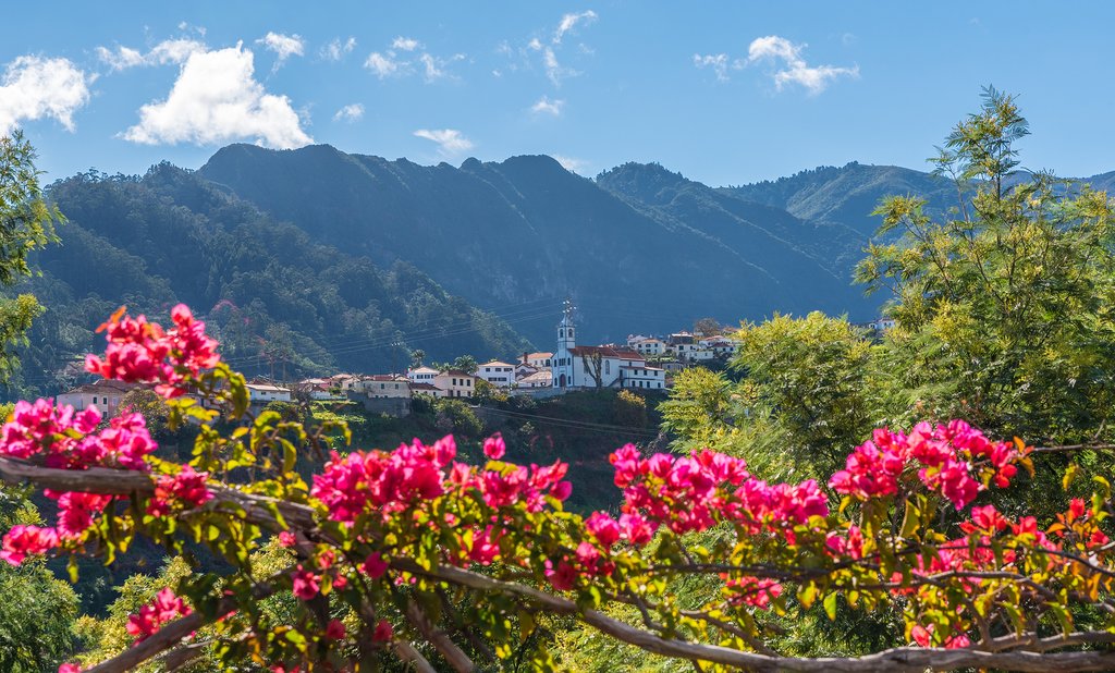 Madeira island's scenic landscape