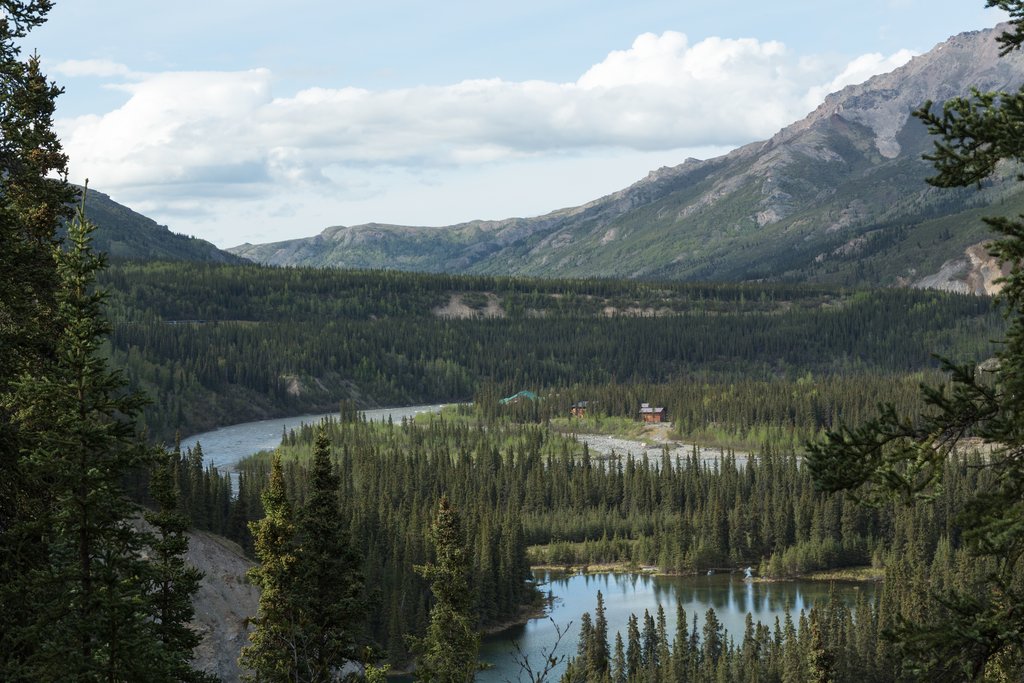 Alaska - Nenana River in Denali National Park