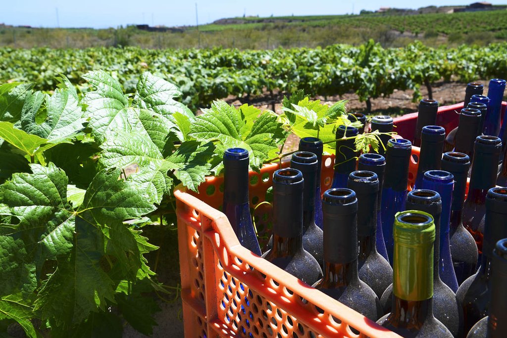 Wineries of the Canary Islands