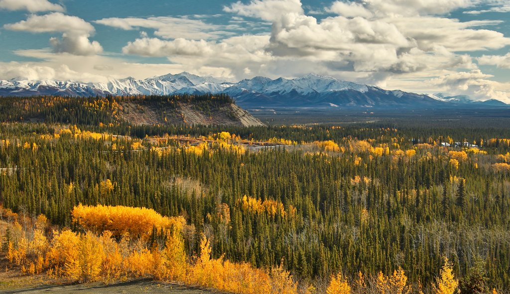 Wrangell - St. Elias Mountains