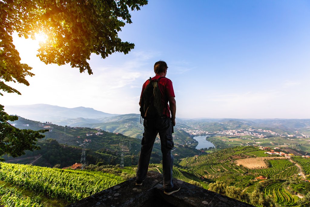 Overlooking the Douro Valley
