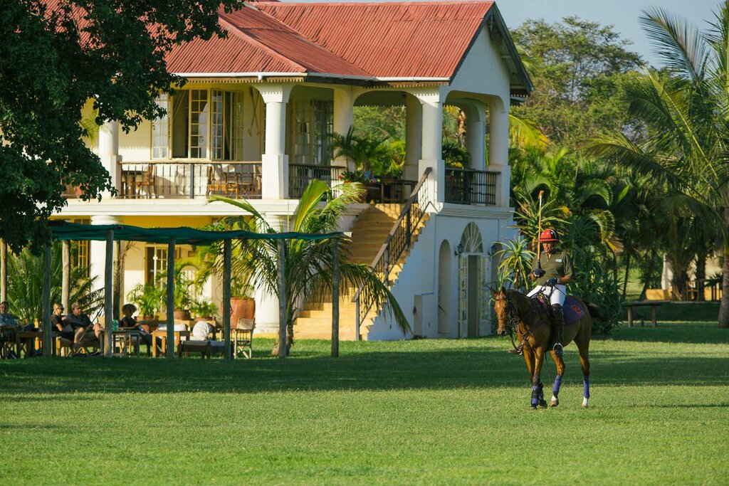 Giraffe Residence