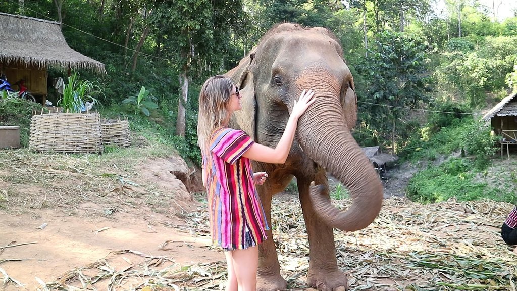 Visit the Elephant Jungle Sanctuary outside of Chiang Mai