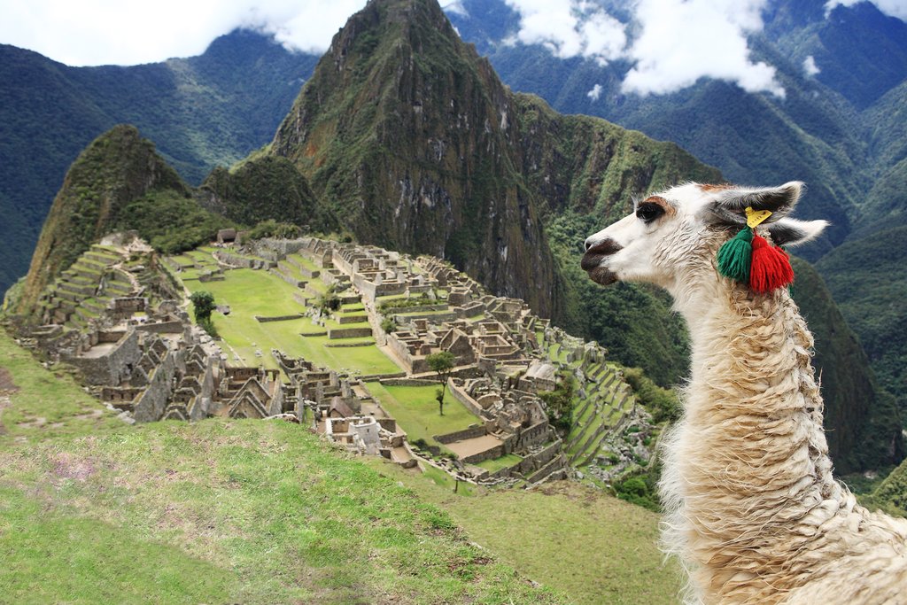 Machu Picchu
