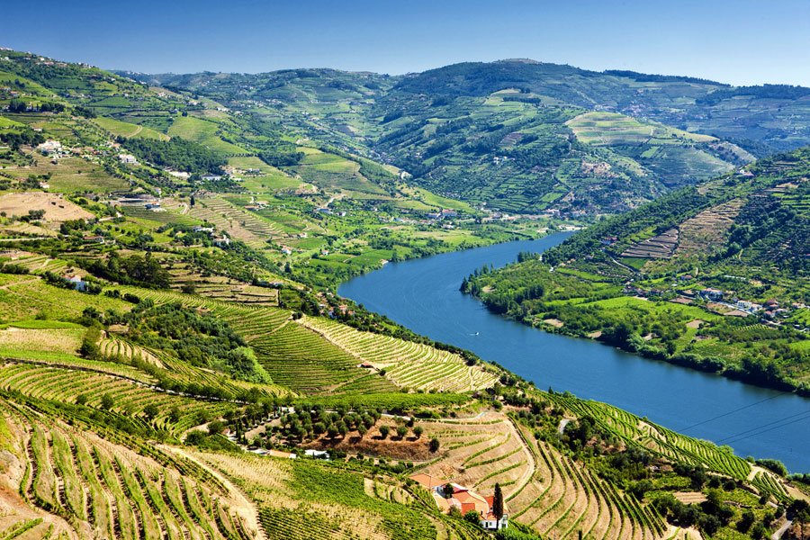The Douro Valley Wine Region