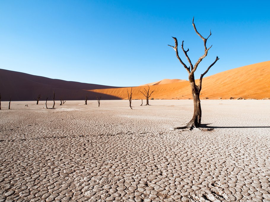 Deadvlei