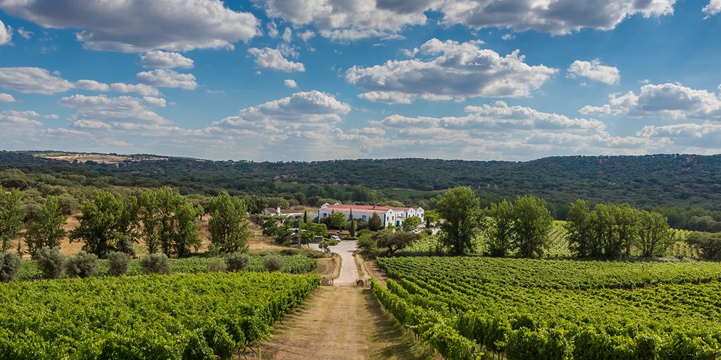 Wine Estate in Alentejo