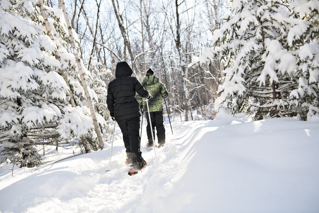 Snowshoeing in Alpine Forests
