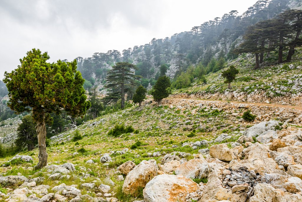 Lycian Mount Olympus