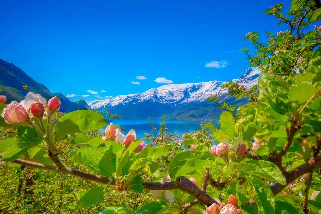 Plenty of scenery along the Hardangerfjord