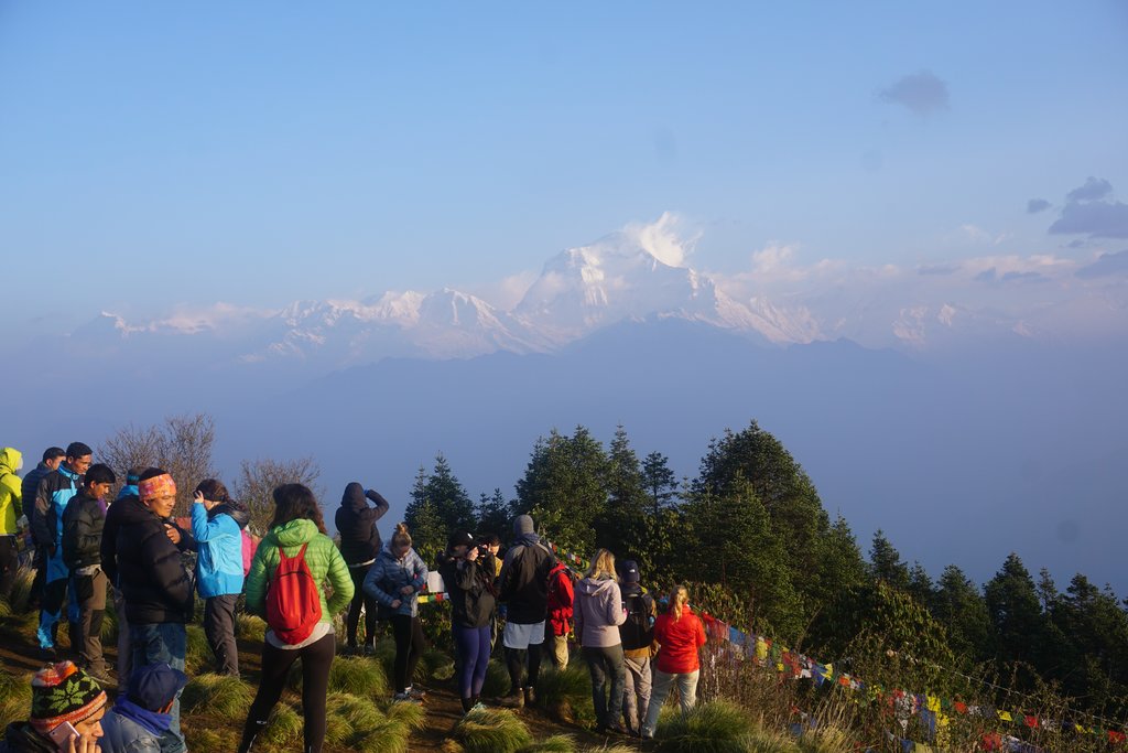Morning on Poon Hill