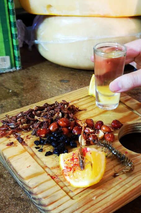 Spirits of Mexico. Pulque Mezcal, & Tequila