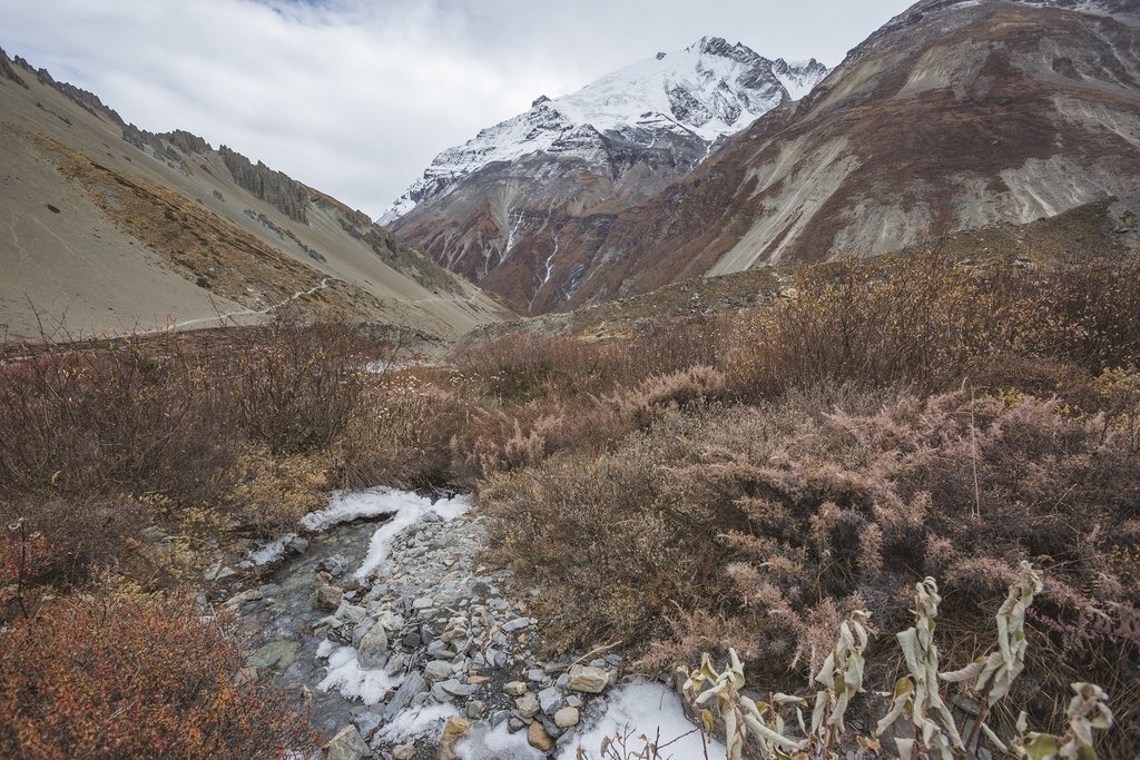 Tilicho Base Camp