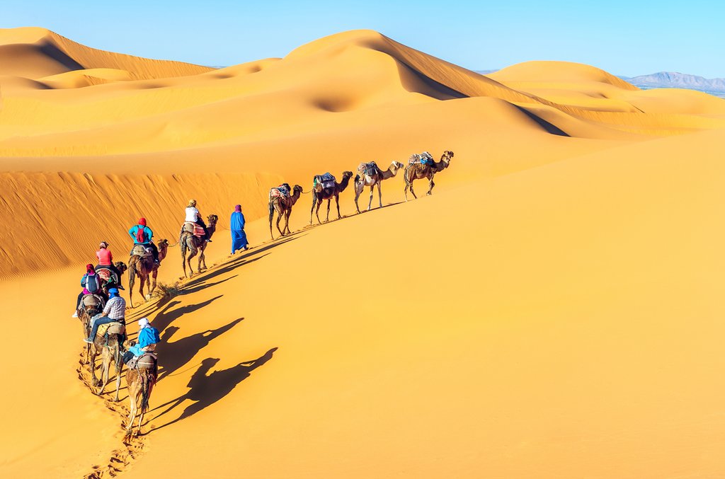 Camel trekking through the sand dunes of the Sahara