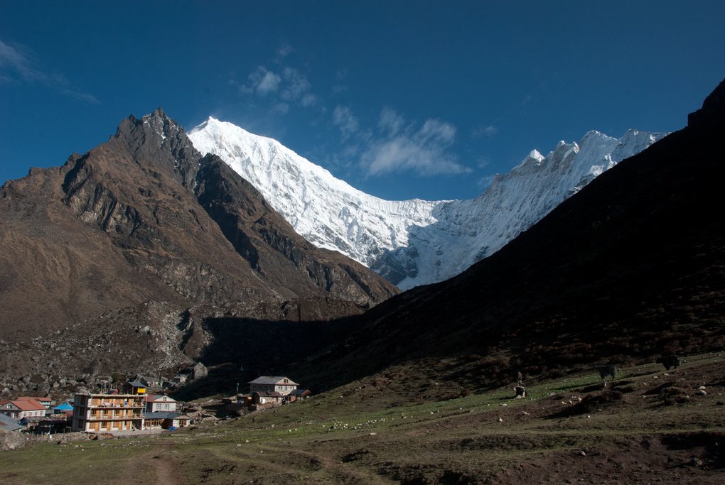 Langtang trek