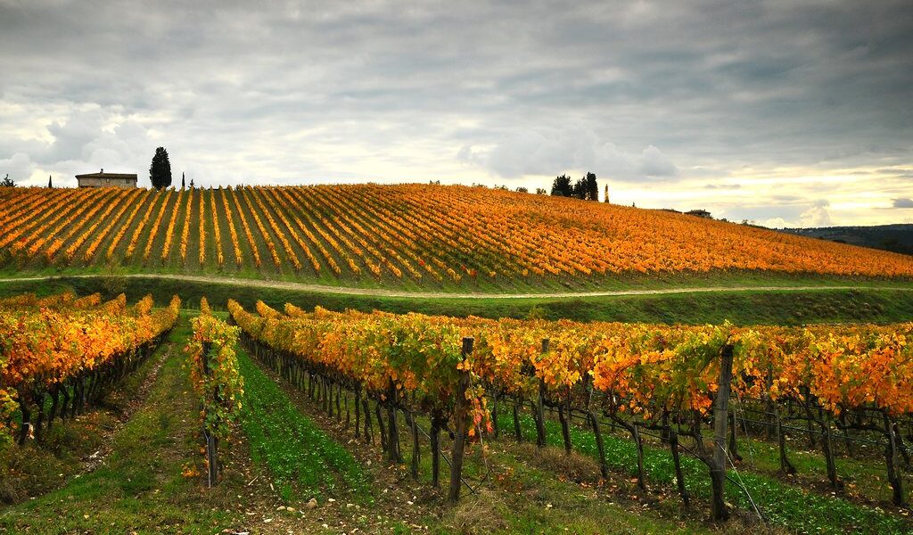 big-67a89b1f8862911aab1d1fc43930ba83