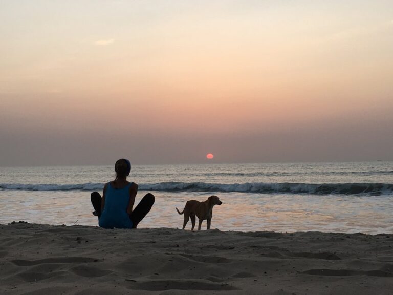 Top 5 Things To Do In Gambia