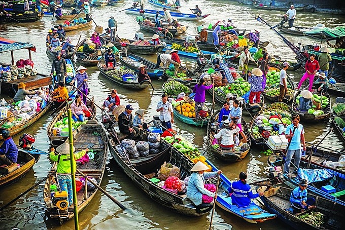 Browse the Cần Thơ river markets