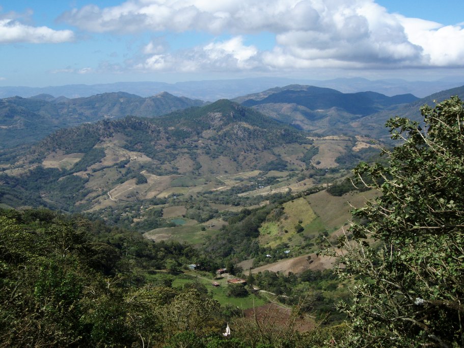 Jinotega
