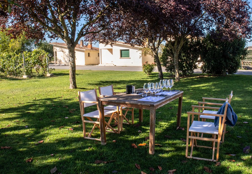 Wine Tasting in La Rioja