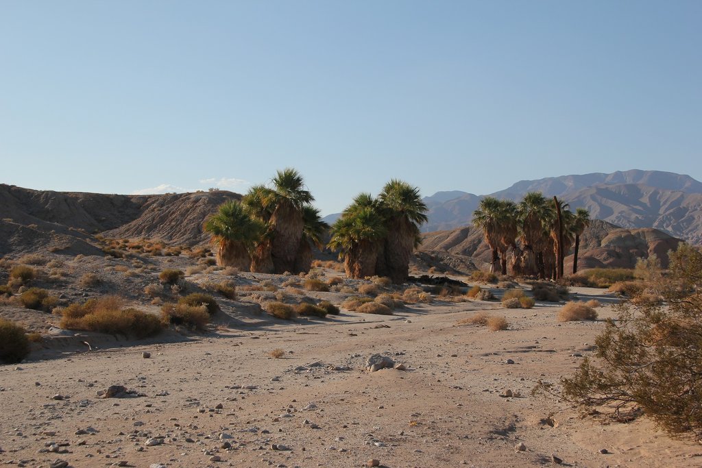 Trek through the Anza-Borrego State Park