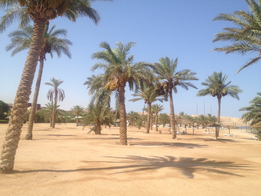 Private beach in Tala Bay