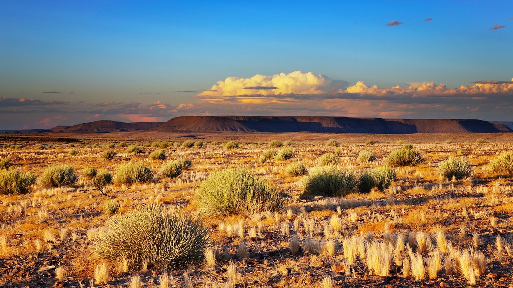 Kalahari Desery