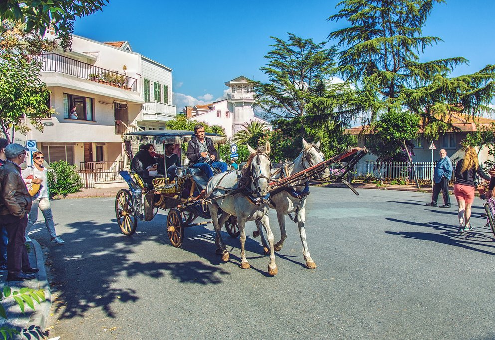 Discover Buyukada Island by Horse-Drawn Carriage