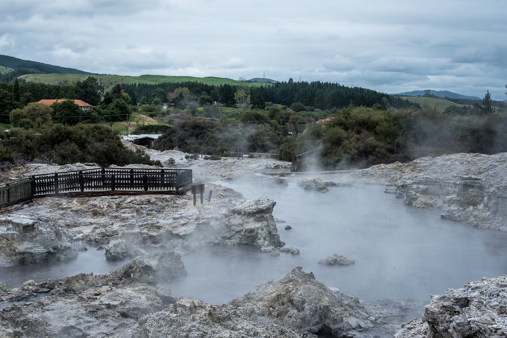 Steam rises from the geothermal pools at Hell's Gate with trees, rolling hils and a green landscape in the space beyond