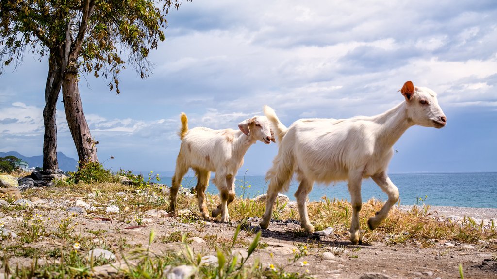 Say goodbye to friends you met along the way - Photo by Ömer Korkut
