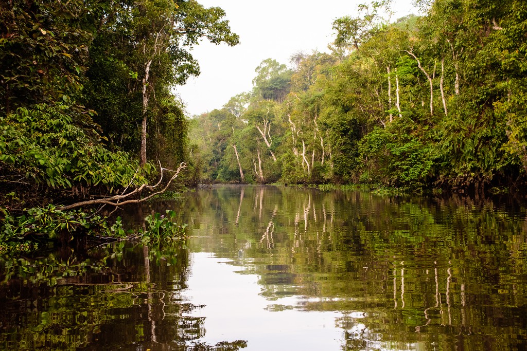 Kinabatangan River