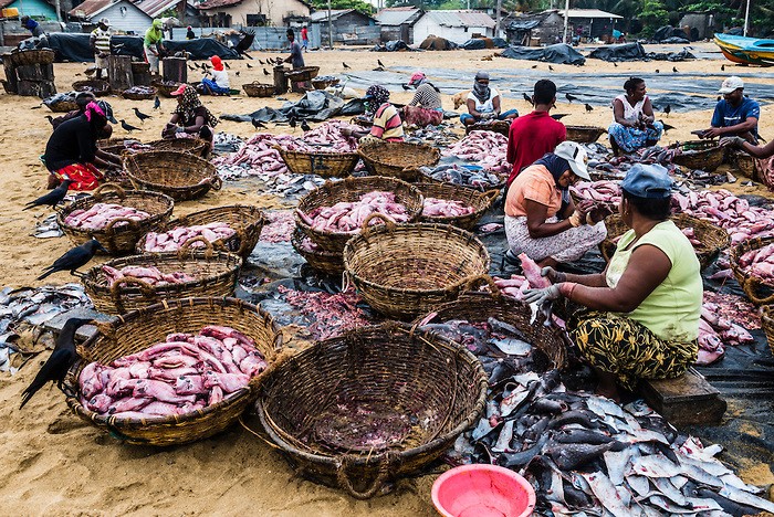 Fish market