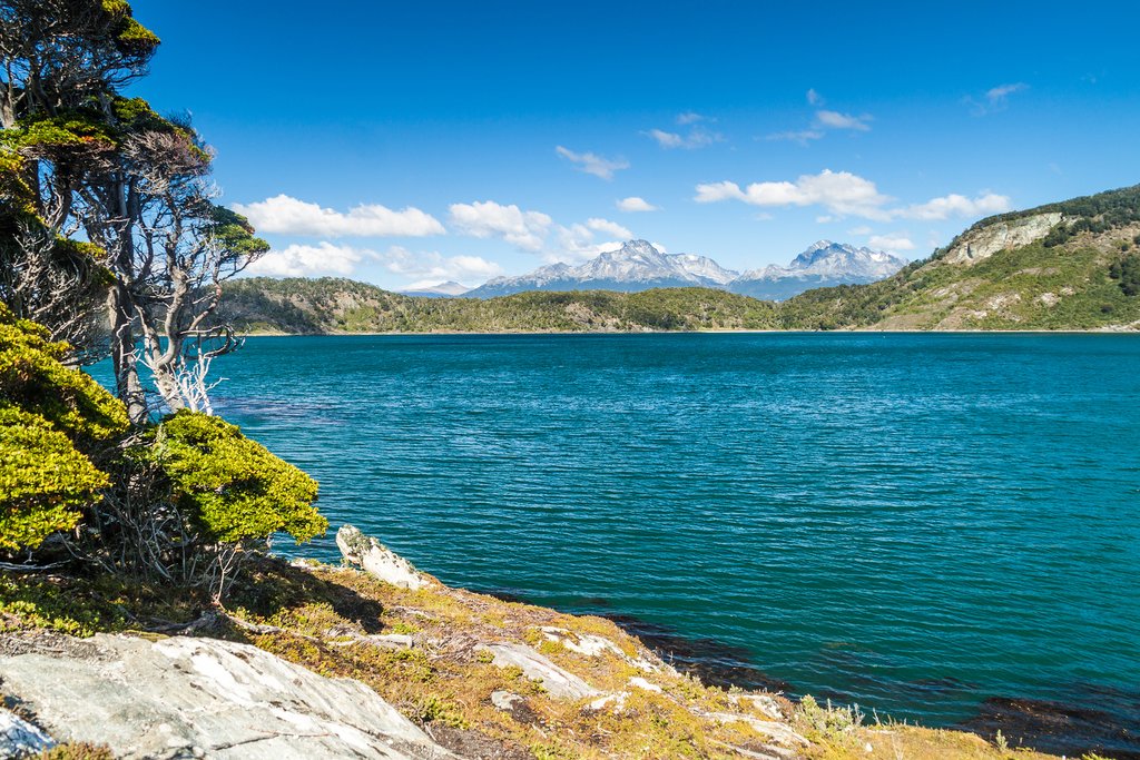 Summer in Tierra del Fuego National Park, Argentina